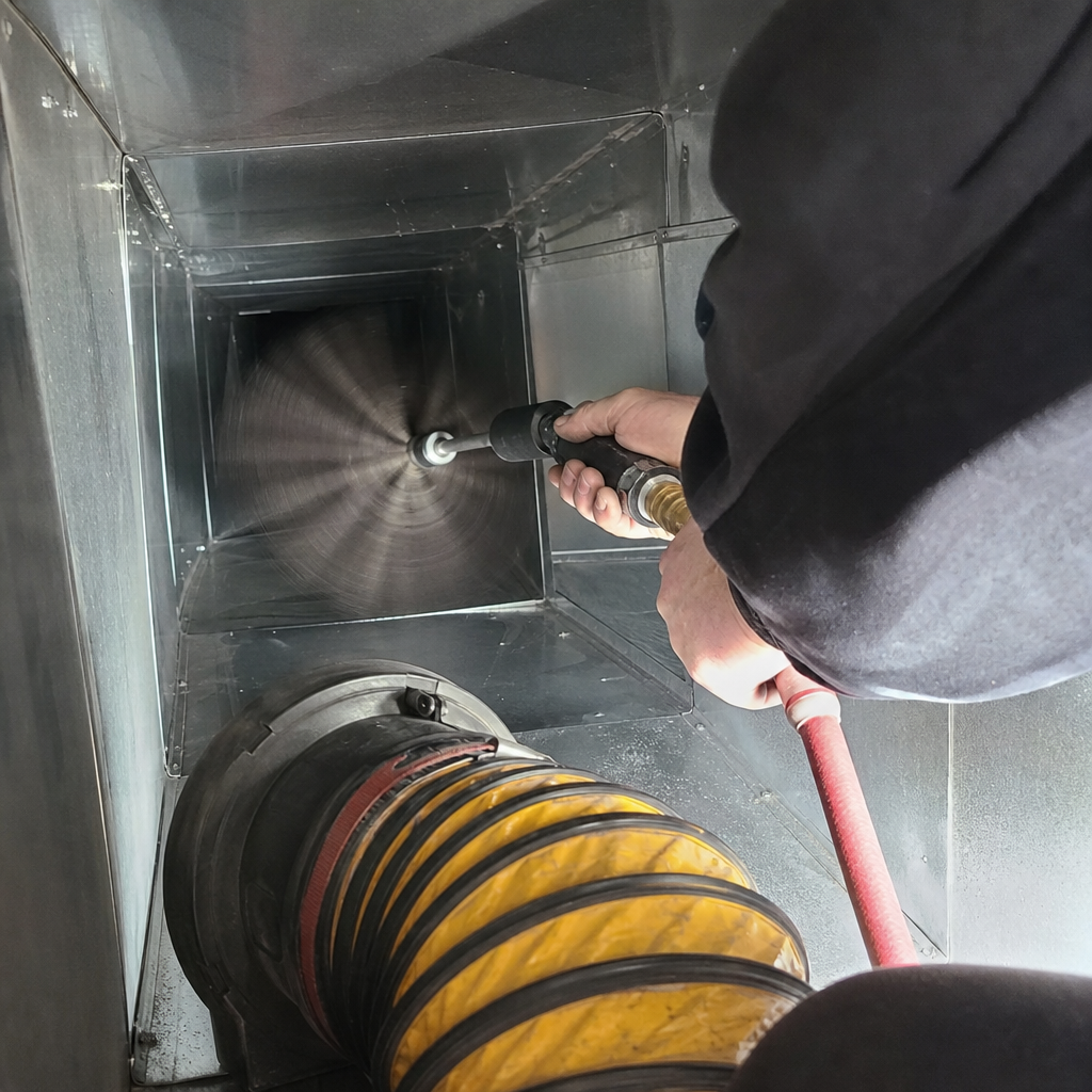 Mold Treatment